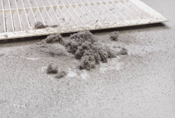 Best Local Air Duct Cleaning Services  in Forest City, FL