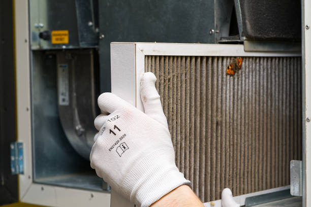 Best Affordable Air Duct Cleaning  in Forest City, FL